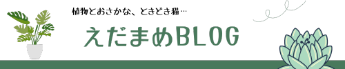 えだまめBLOG